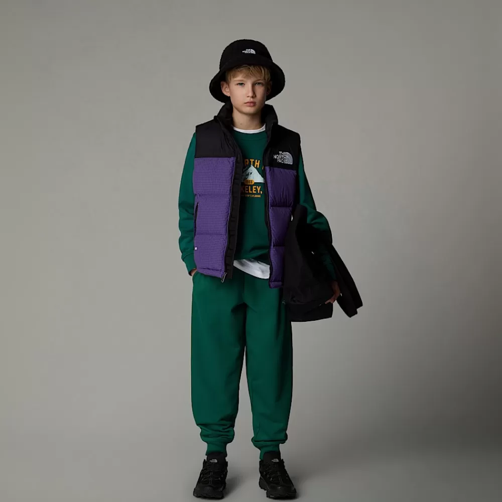 The North Face Jakker | Jakker^1996 Retro Nuptse Vest Til Unge Peak Purple-Ripstop