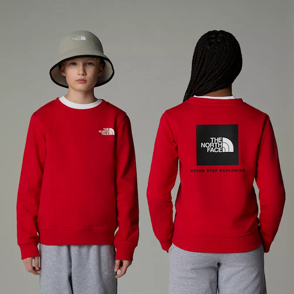 The North Face Fleecetrøjer Og Hættetrøjer | Fleecetrøjer Og Hættetrøjer^Redbox Sweatshirt Til Unge TNF Red