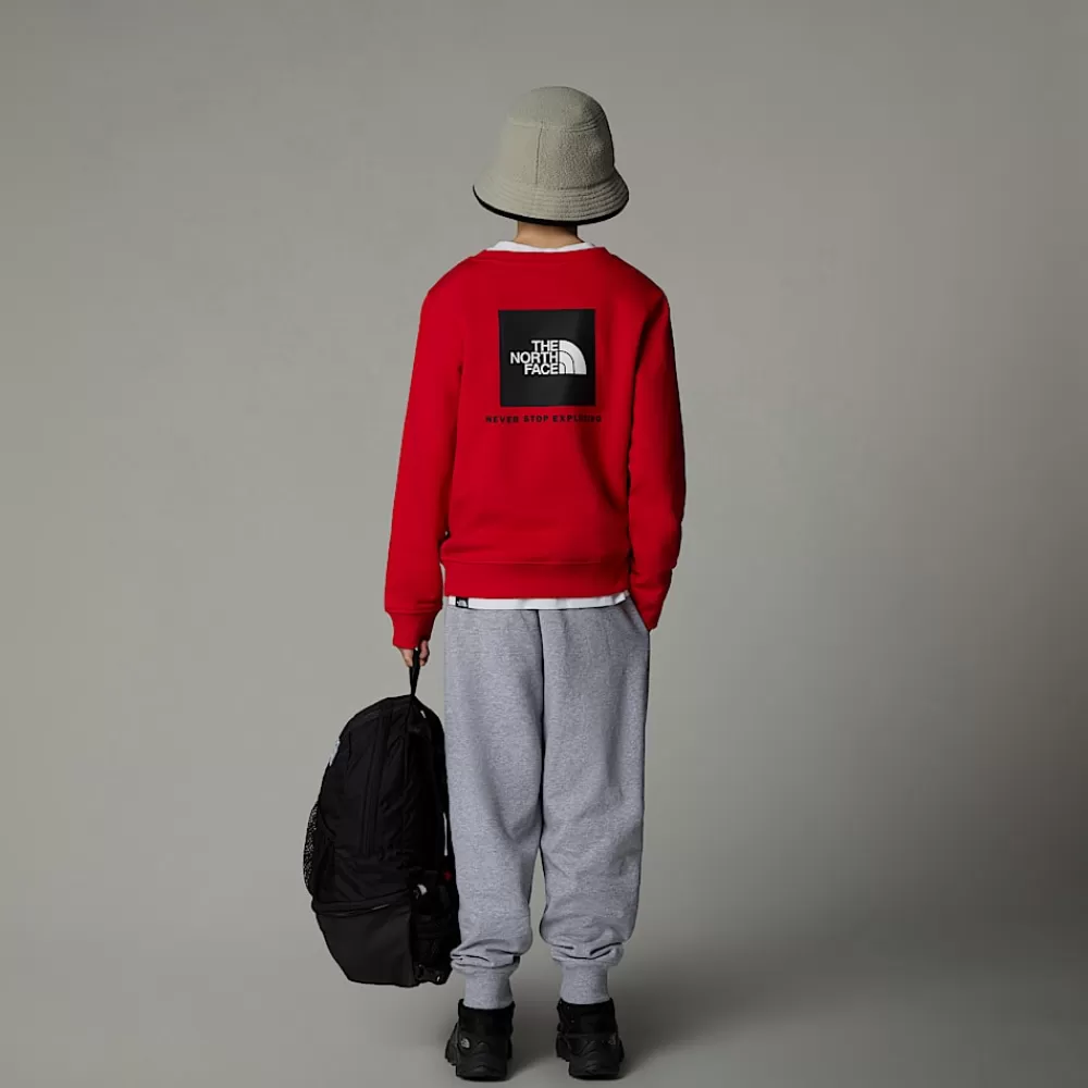 The North Face Fleecetrøjer Og Hættetrøjer | Fleecetrøjer Og Hættetrøjer^Redbox Sweatshirt Til Unge TNF Red